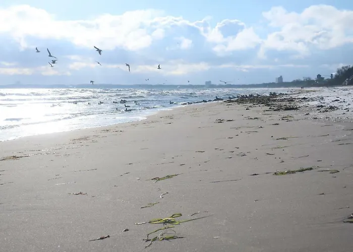 Breitengross Apartman